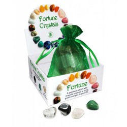 Crystal Talisman - Fortune (Succes)