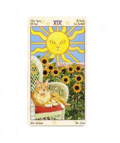 Pagan Cats Tarot Mini