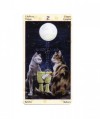 Pagan Cats Tarot Mini