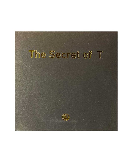 The Secret of T Puzzle by TCC