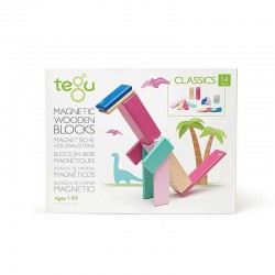 Set 14 piese din lemn magnetic, Tegu