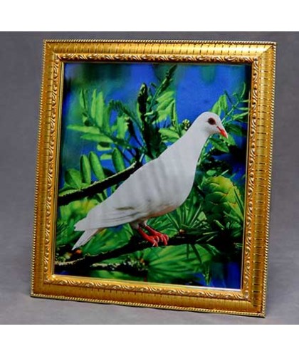 Dove Frame by Mr. Magic