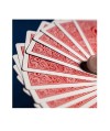 GT Speedreader Marked Deck Mandolin plus Online effect